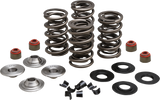Racing Valve Spring Kit