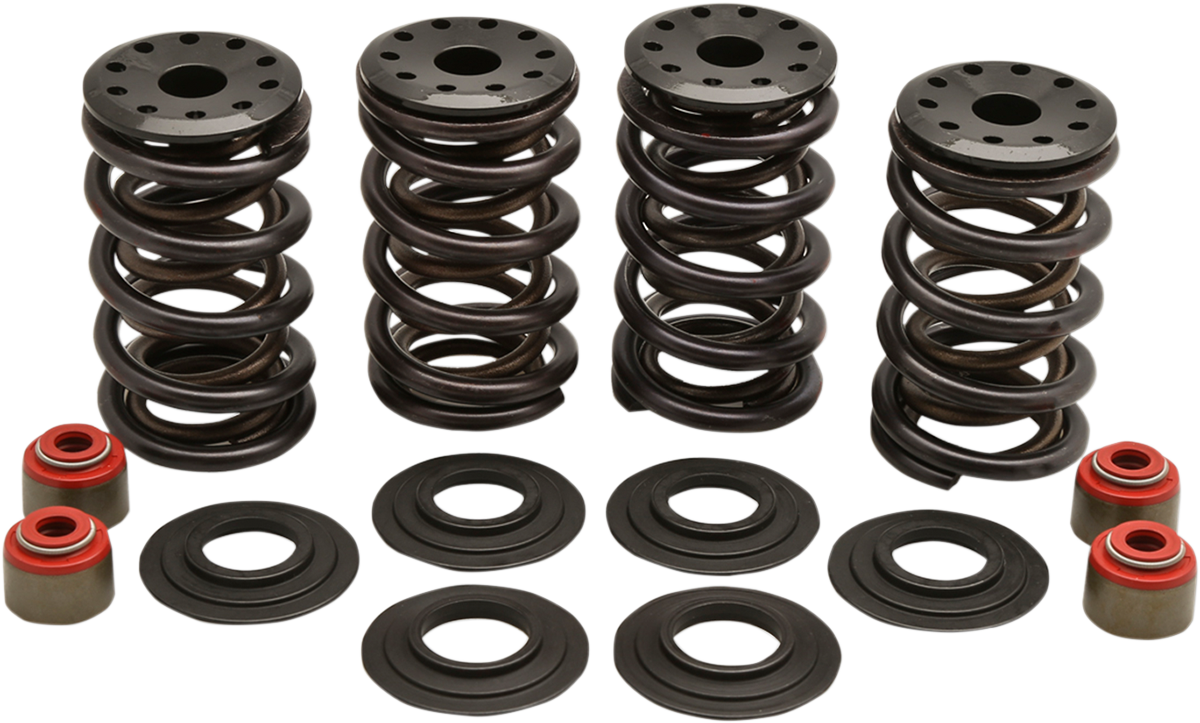 Racing Valve Spring Kit