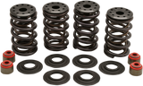 Racing Valve Spring Kit