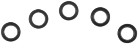 Oil Pump O-Ring
