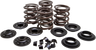 Racing Valve Spring Kit