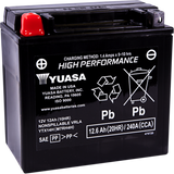High Performance AGM Maintenance-Free Battery