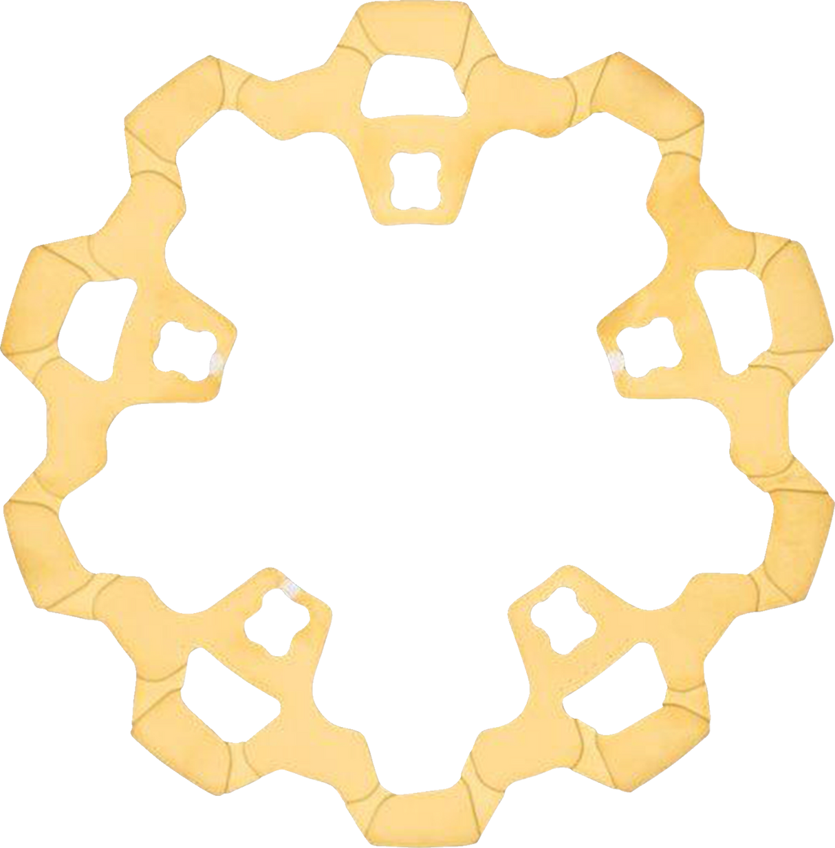 Front Brake Rotor
