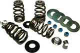 High Load Beehive® Valve Springs