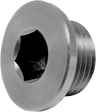 O2 Sensor Bung Plug