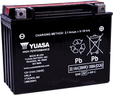 High Performance AGM Maintenance-Free Battery