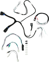 Amplifier Harness