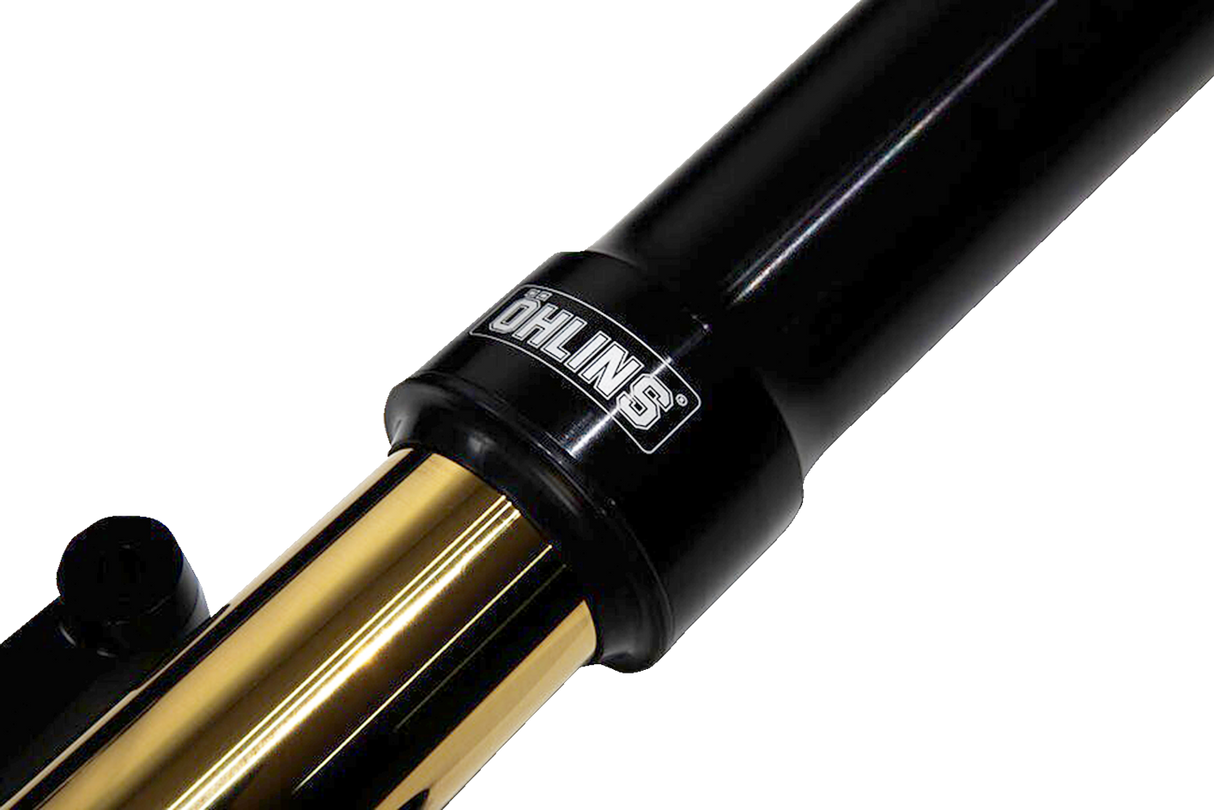Blackline Fork