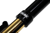 Blackline Fork