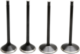 Black Diamond™ Engine Valve Kit