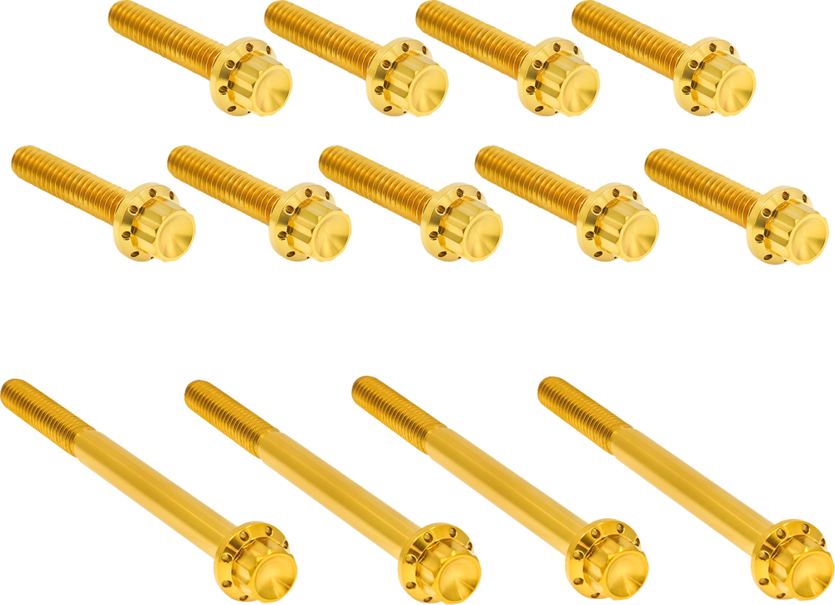 Outer Primary Cover Titanium 12-Point Bolt Kit