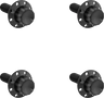 Titanium 12-Point Windshield Bolts