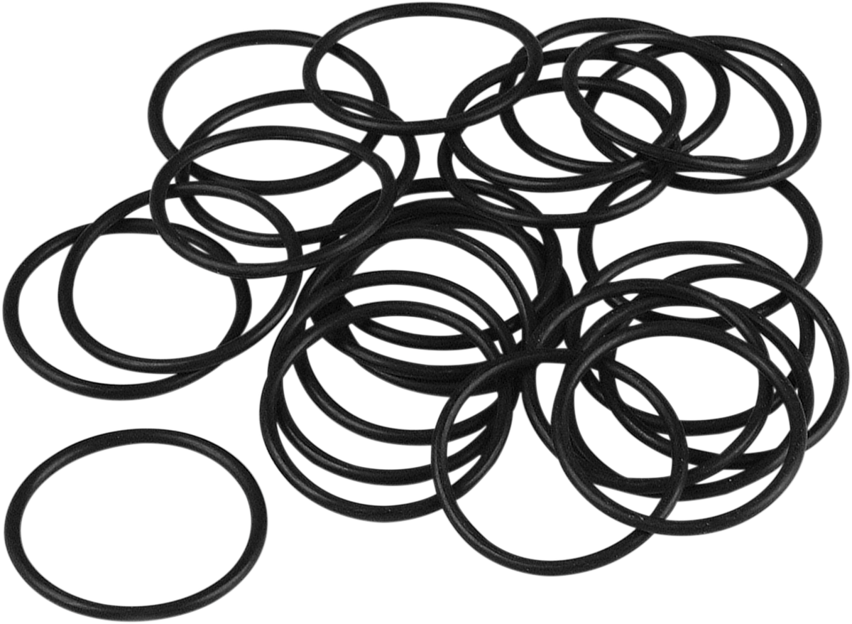 Primary Filler Cap O-Ring