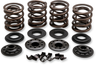 OEM Replacement Valve Spring Kit