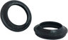 Dust Seal