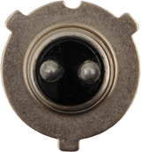 Halogen Bulb