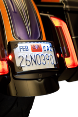 3-in-1 License Plate Kit