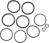 Caliper Seal Kit