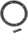 OEM-Replacement Starter Ring Gear
