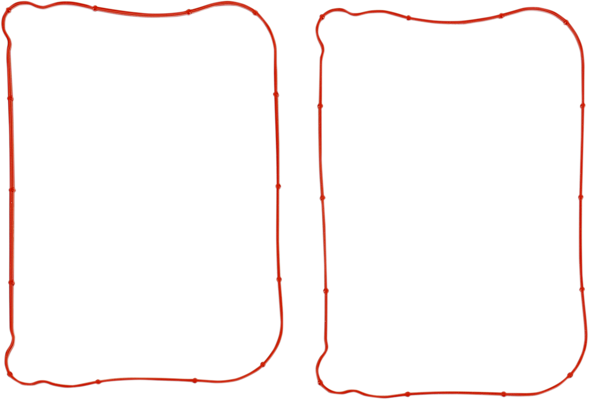 Rocker Gasket