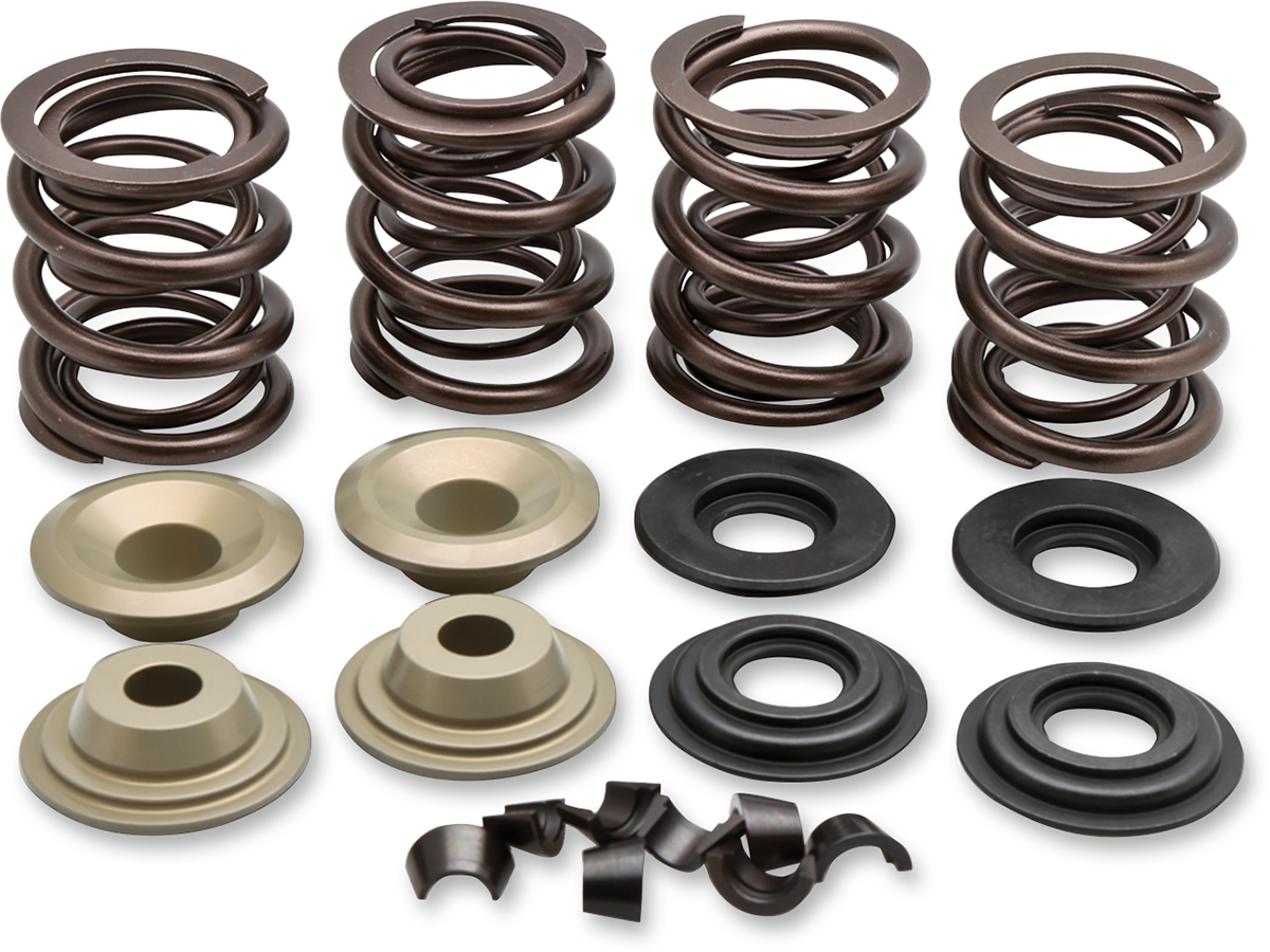 Racing Valve Spring Kit