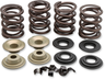 Racing Valve Spring Kit