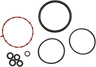Intake Gasket Kit