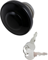 Screw-In Locking Gas Cap — Vented