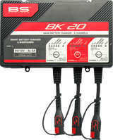 BK20 Smart Bank Battery Charger and Maintainer with Reconditioning Function
