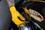 Borrego Gloves