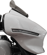 Windshield