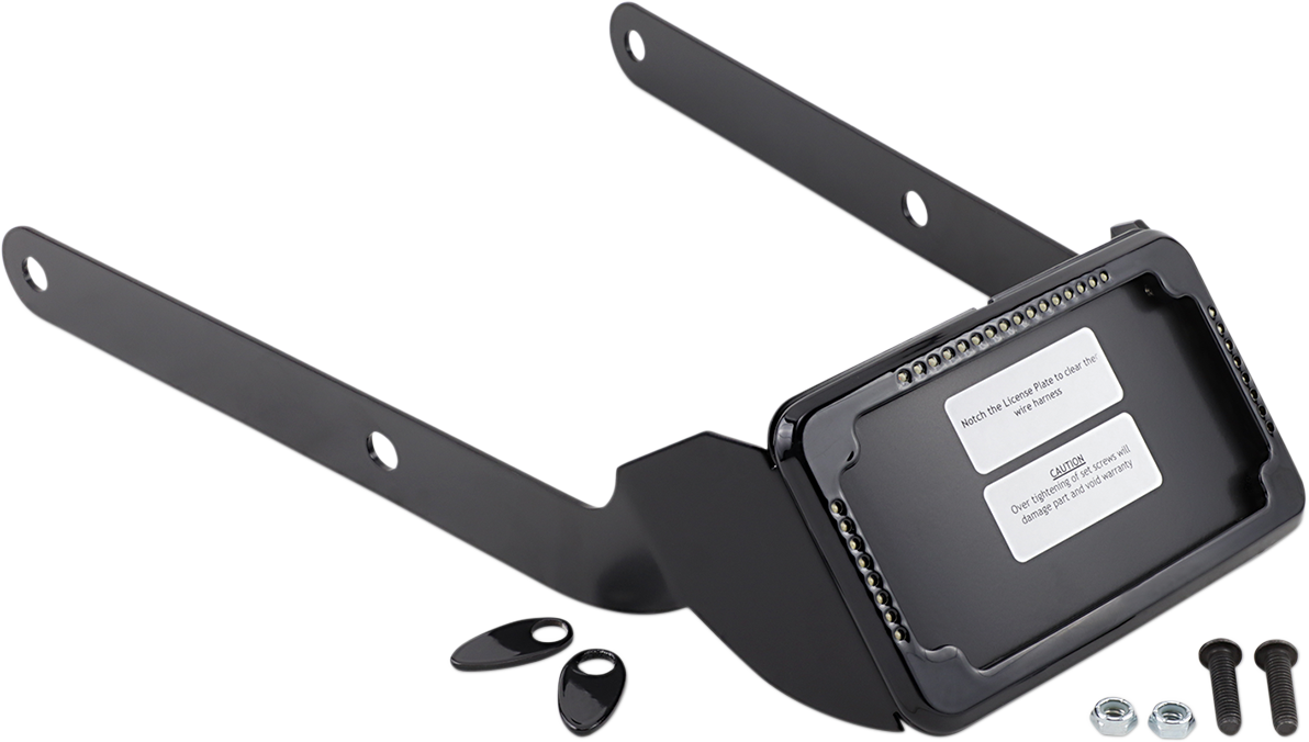 Curved License Mount with Frame