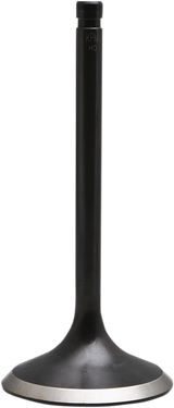 Nitrided Valve