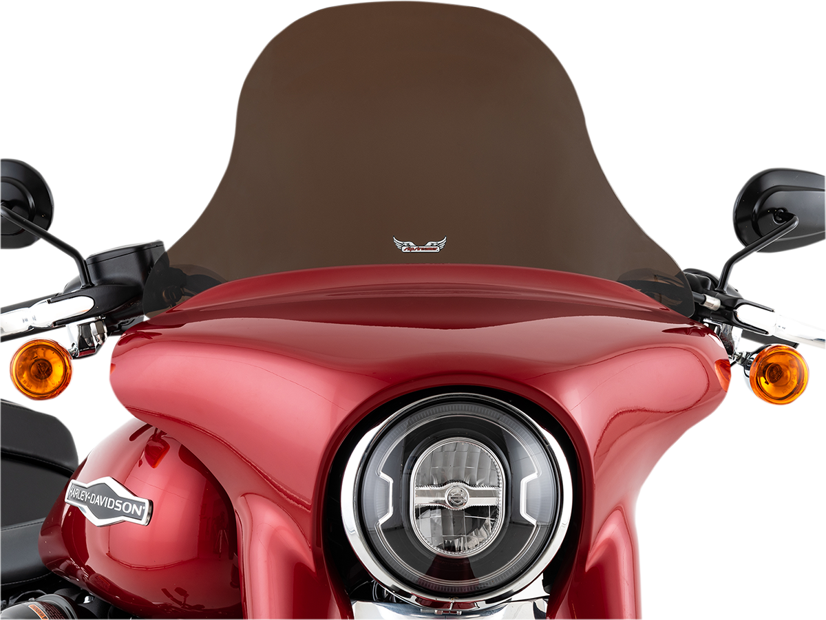 Windshield
