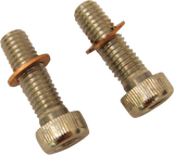 Fork Tube Damper Mount Kit