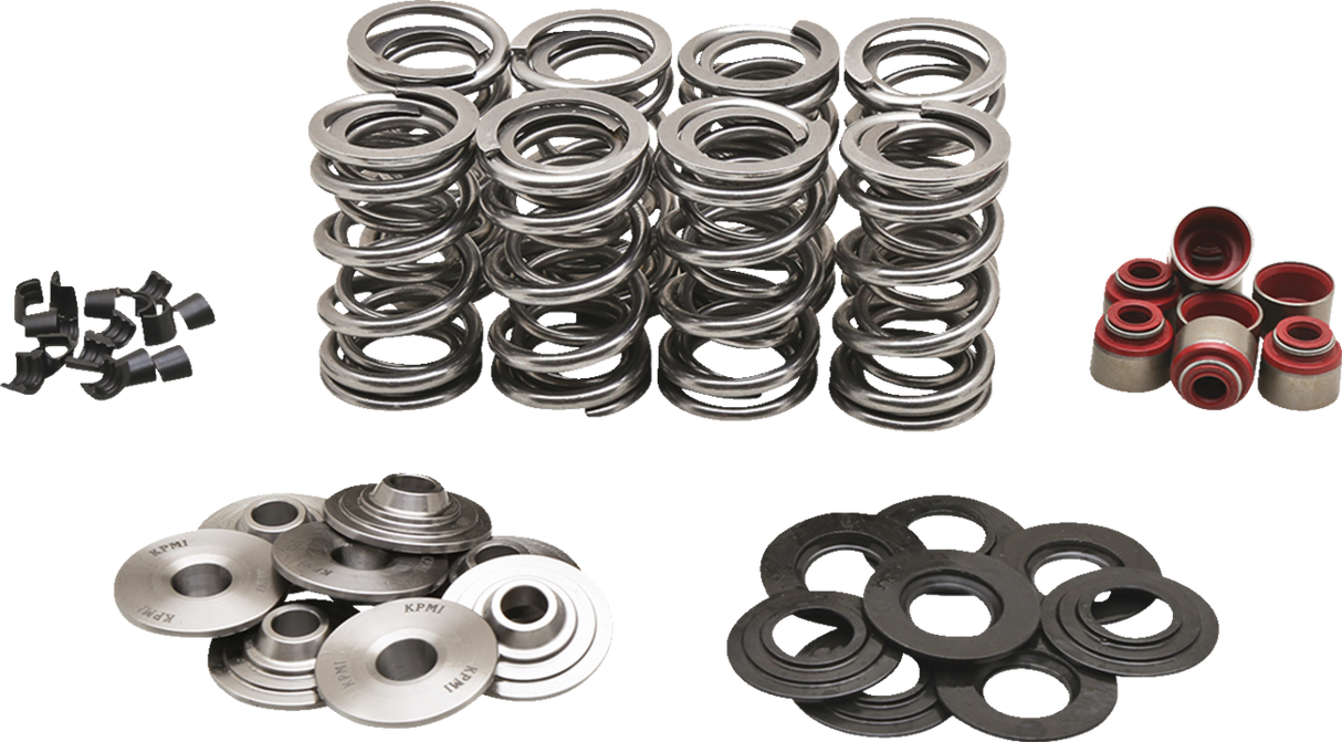 Valve Spring Kit