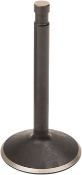 Nitrided Valve