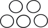 Oil Pump O-Ring
