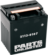 AGM Maintenance-Free Battery