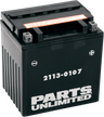 AGM Maintenance-Free Battery