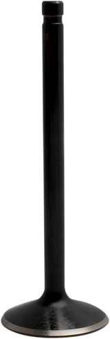 Nitrided Valve