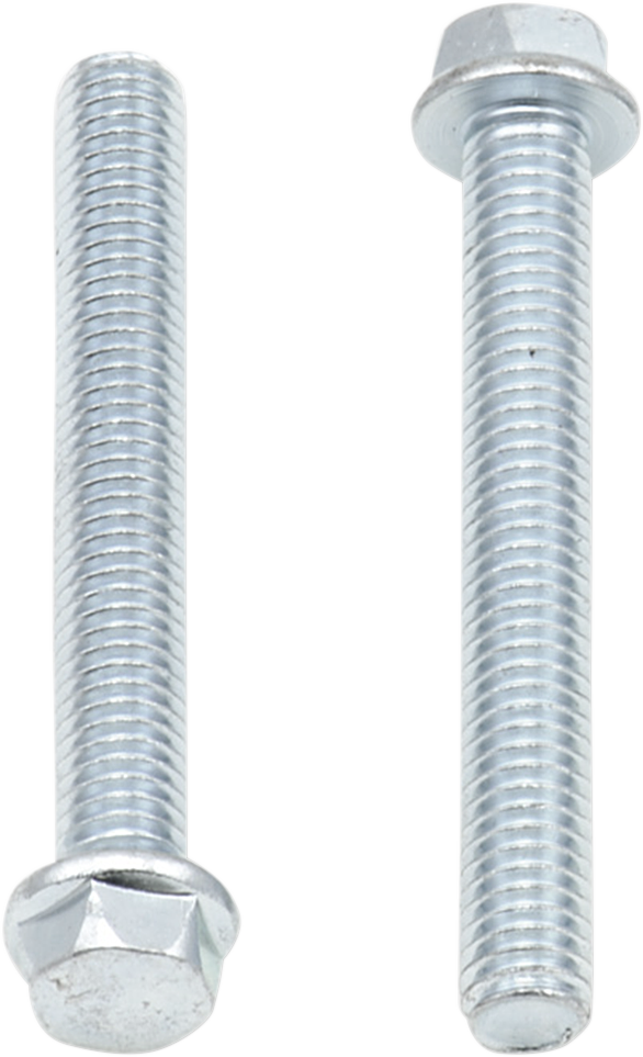 Replacement Bolts