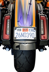 License Plate Kit