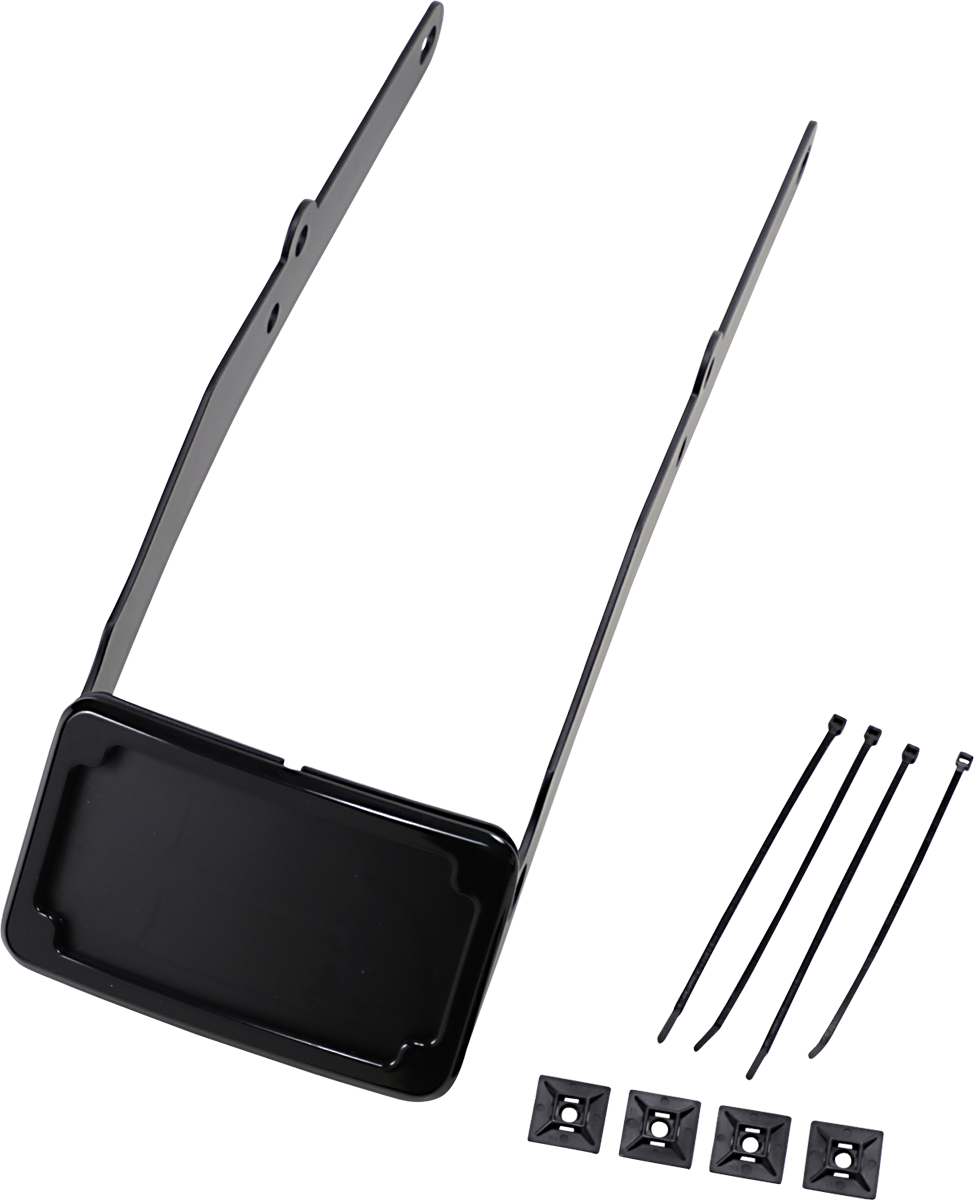 Curved License Mount with Frame