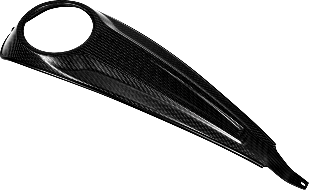 Carbon Fiber Dash Panel For Touring Models