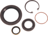 Main Drive Gear Seal Kit