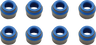 Valve Guide Seals