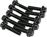 Cam Plate and Oil Pump Fastener Kit