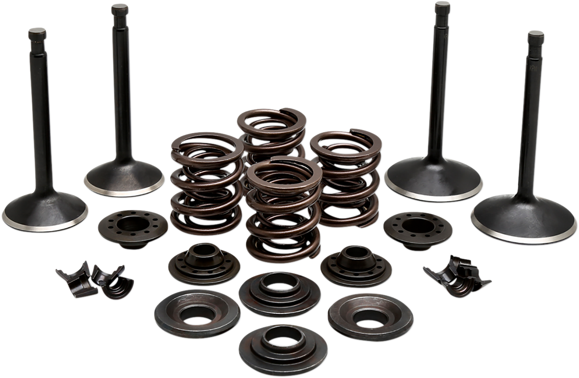 Engine Valve Kit