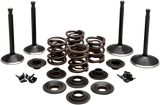 Engine Valve Kit